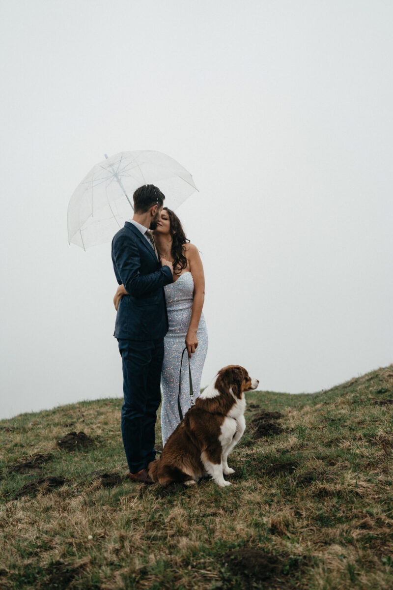 Regenhochzeit mit Hund