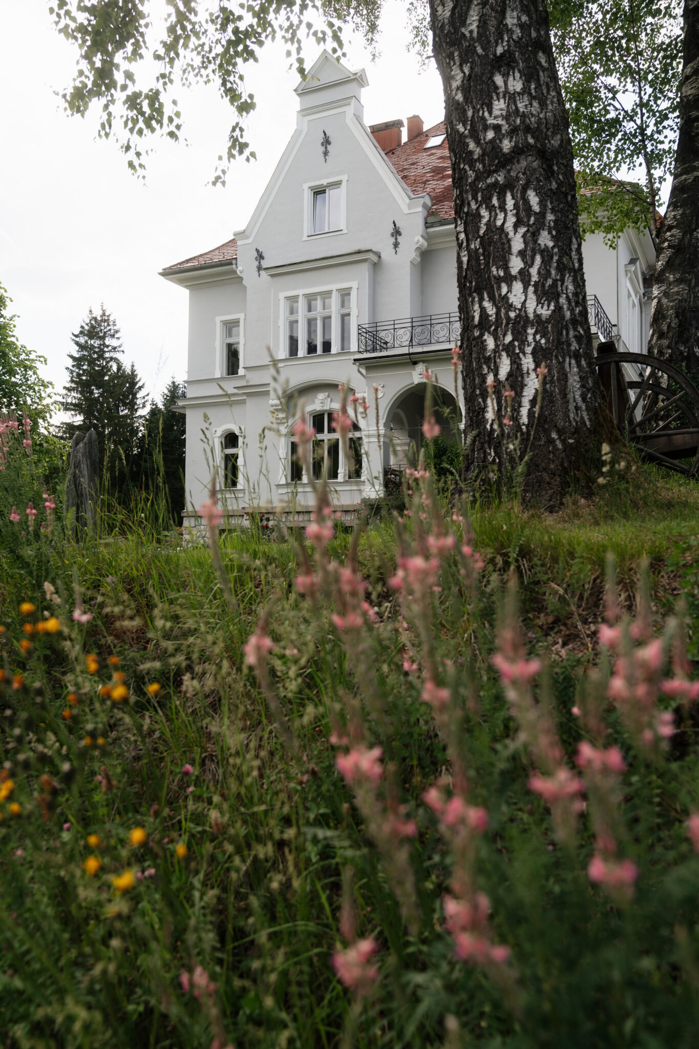 Altstadthaus mit Garten und Baum im Vordergrund.
